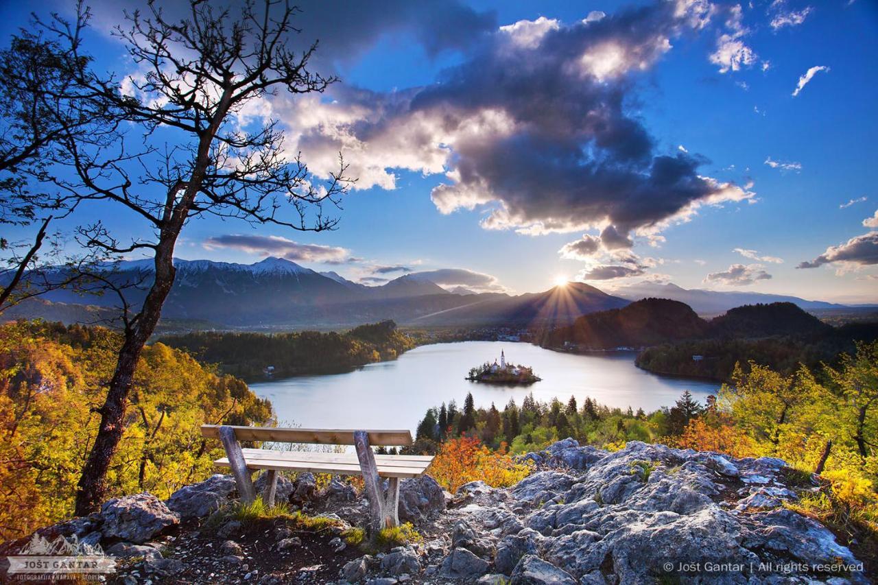Vila Grad Bled - Sauna & Hot Tub Экстерьер фото